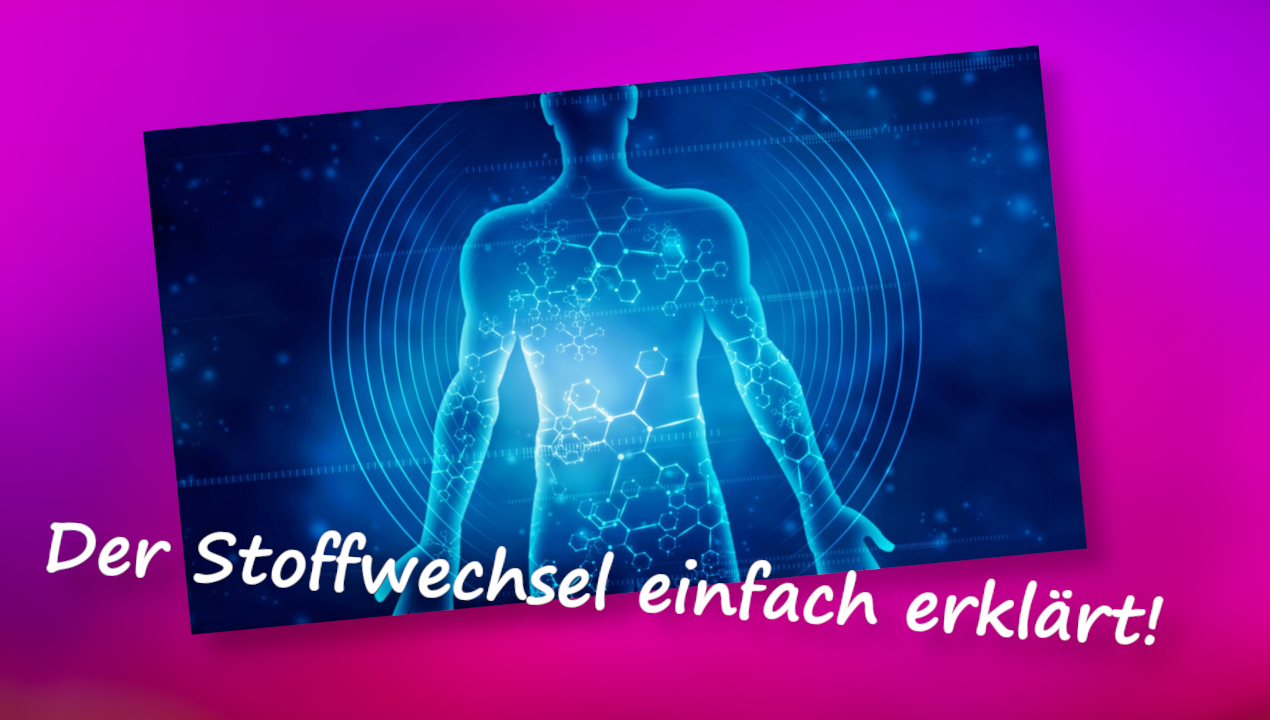 Was ist ein Stoffwechsel bei Menschen?